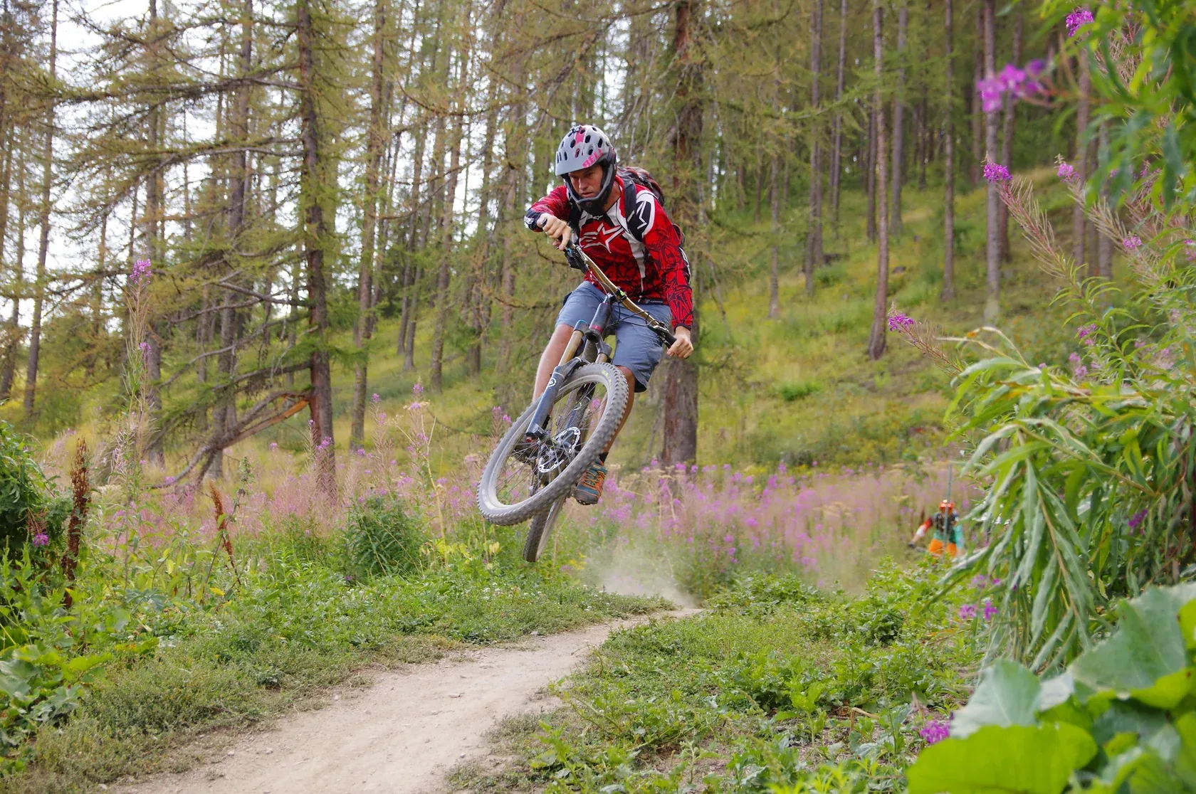 Mountain biker in a red jersey riding a jump on a forest trail lined with wildflowers